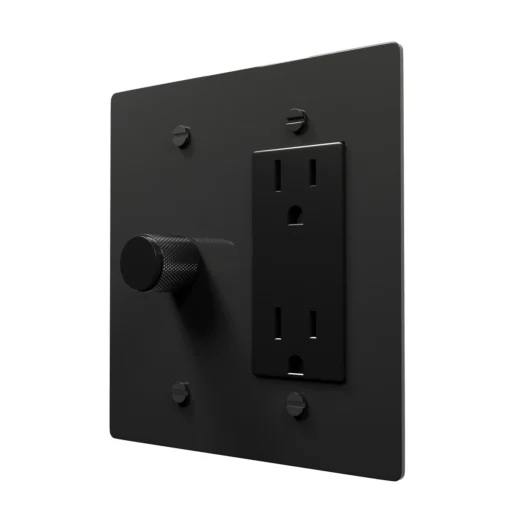 Dimmer outlet combo