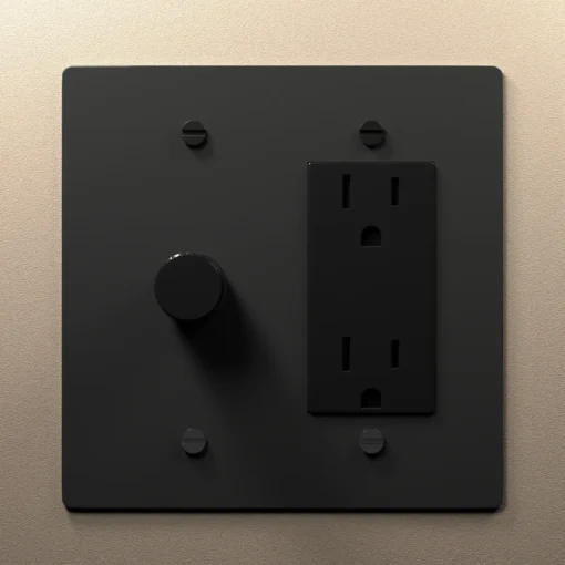 Dimmer outlet combo