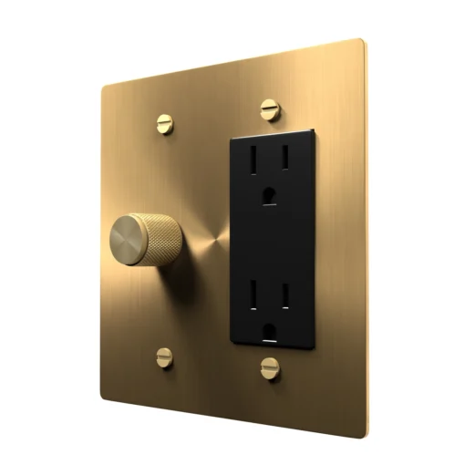 Dimmer outlet combo