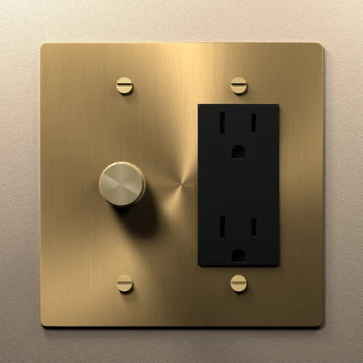 Dimmer outlet combo