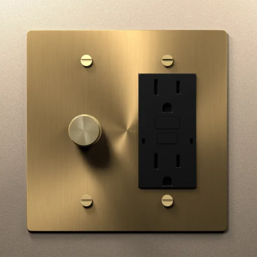 Rotary dimmer + outlet combo