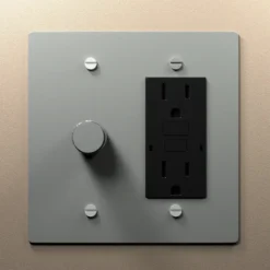 Dimmer and outlet combo