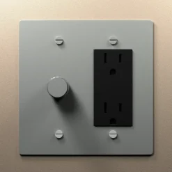 Dimmer outlet combo