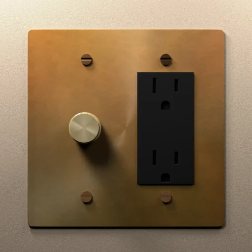 Dimmer outlet combo